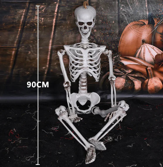 Realistic Skeleton Model